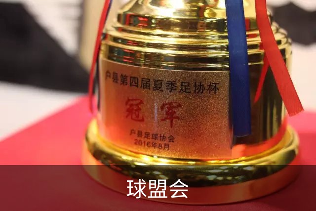 球盟会公司简介图片